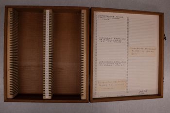 Media type: image;   Special Collections 3456 documents cataloged_item 3457 documents cataloged_item 3458 documents cataloged_item 3459 documents cataloged_item 3460 Description: Digital photo of Northcutt box to document exterior and interior text.;